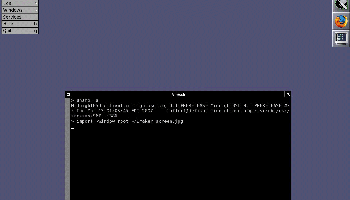 0.1.1 Screenshot